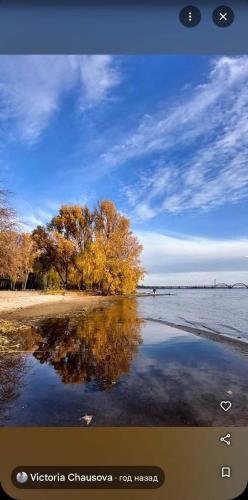 a tree on the shore of a body of water at Dnipro evening, view # Вечірній Дніпро у центрі, фантастичний вид in Dnipro