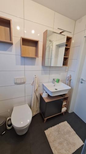 a bathroom with a white toilet and a sink at Ferienwohnung Helfensteinblick in Calden