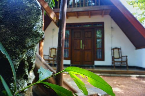 a house with a door and a plant in front of it at Sky Villa Sigiriya in Sigiriya