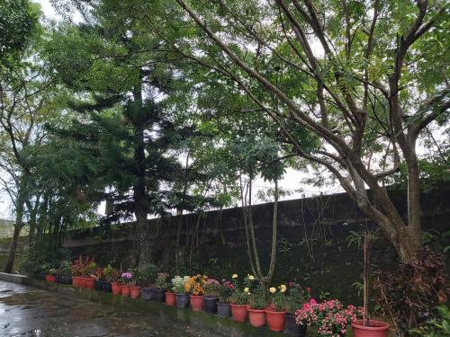 Gallery image of 藍山碧海莊園 in Guanshan