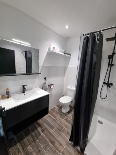 une salle de bain avec un lavabo et des toilettes dans l'établissement L'opale appartement entier bien placé Lourdes, à Lourdes
