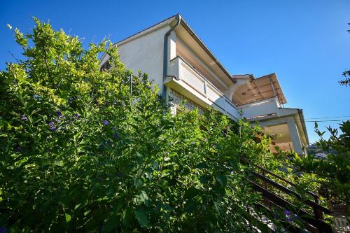 Apartments and Rooms Frane