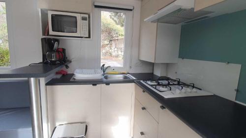 Η κουζίνα ή μικρή κουζίνα στο Camping L'Enclave mobil-home