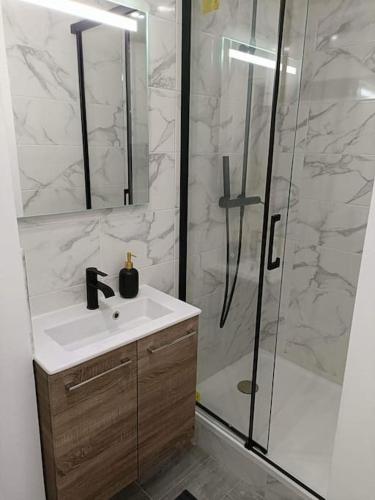 une salle de bain avec un lavabo et une douche en verre dans l'établissement La chouette dans l'arbre - T2 sur cour au calme, à Dijon