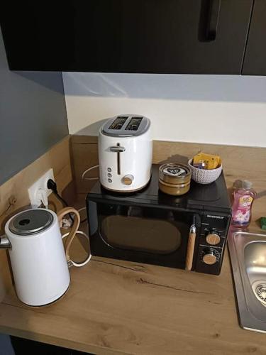 - une cuisinière lente installée au-dessus d'un four micro-ondes dans l'établissement La chouette dans l'arbre - T2 sur cour au calme, à Dijon