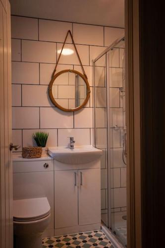 a bathroom with a toilet and a sink and a mirror at Hot tub - Number 37 in Llansantffraid Glan Conwy