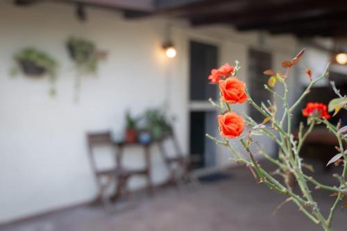 Casa DanteMini casa Fiera di Roma Piana Del SoleRm Fiumicino photo 35