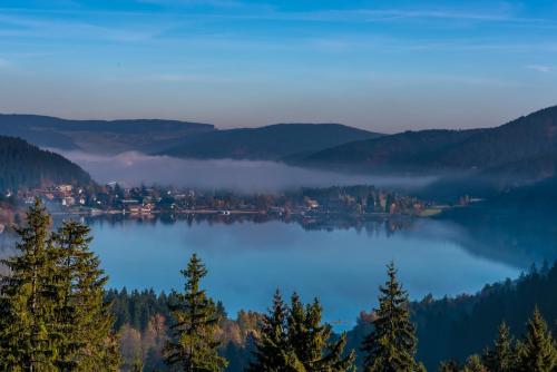 - une vue sur un lac avec des arbres au premier plan dans l'établissement Gästehaus Seewald- Ferienwohnung 6 "Fichte", Schluchsee, Blasiwald, à Schluchsee