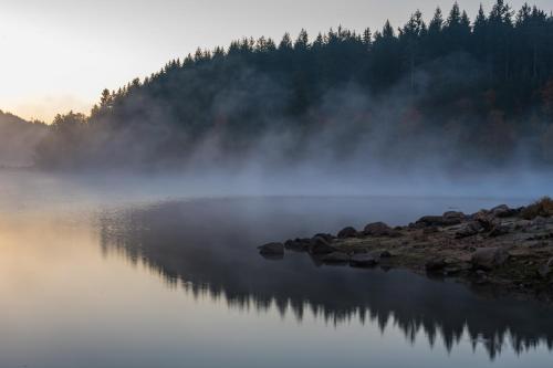 un lac brumeux avec des arbres en arrière-plan dans l'établissement Gästehaus Seewald- Ferienwohnung 1 "Ahorn", Schluchsee, Blasiwald, à Schluchsee