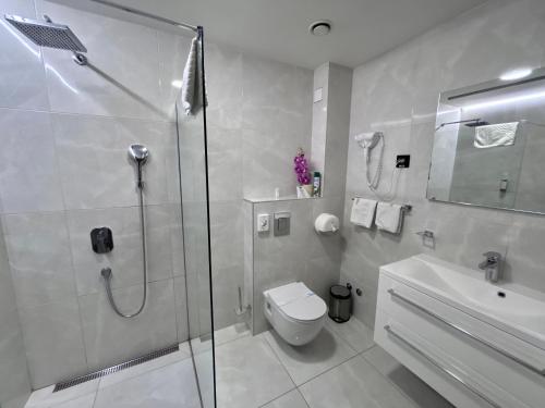 a bathroom with a shower and a toilet and a sink at Hotel Siesta in Užice
