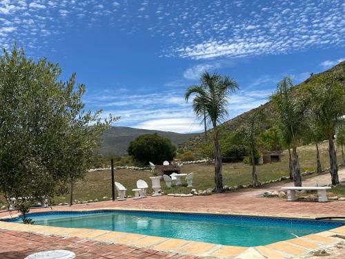 - une piscine avec des chaises et un palmier dans l'établissement Amani Lodge, à Montagu