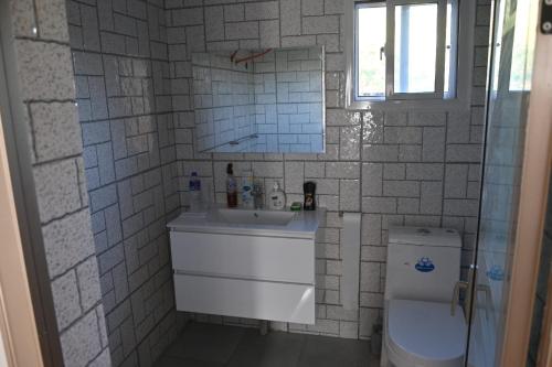 a bathroom with a sink and a toilet at Island Hotel Janjanbureh in Georgetown