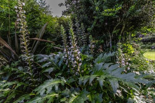 Ein Garten an der Unterkunft Gartmore Guest Farm