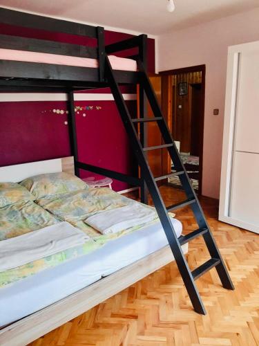Gallery image of Nina Apartments in Negotin