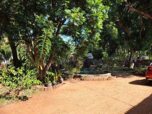 a park with a lot of trees and plants at Olivia HomeStay in Anuradhapura
