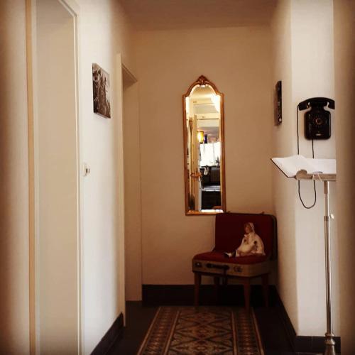 a dog sitting in a chair in a room with a mirror at Hotel Restaurant Alte Stadtmauer in Beilstein