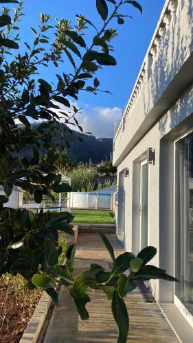 Studio Geek Villa - Open Space - 5m from 5 top attractions - Pool all year round, Dining Pergola, Barbecue - Funchal Matrix Holiday Home