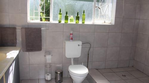 a bathroom with a toilet and bottles on a window at Eagle's Nest in Barberton