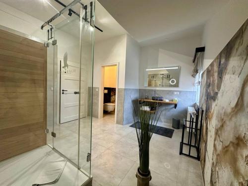 a bathroom with a glass shower and a sink at Residence Black Eagle Lubmin Strand in Lubmin