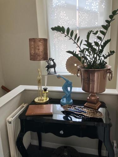 a table with a lamp and a potted plant on it at Apartment 28 in Ayr