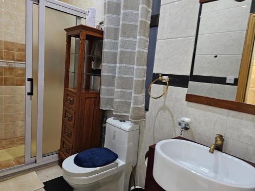 a bathroom with a toilet and a sink at Blue Rawal in Bain Boeuf