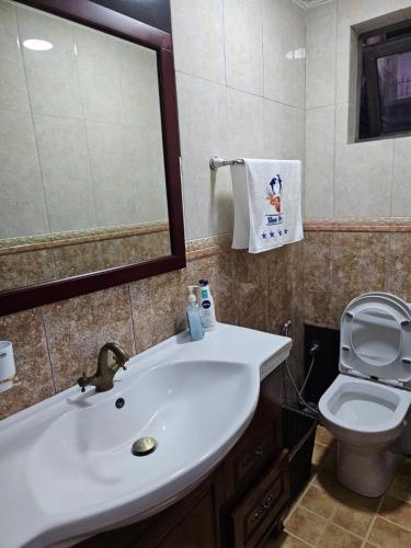 a bathroom with a white sink and a toilet at Blue Rawal in Bain Boeuf