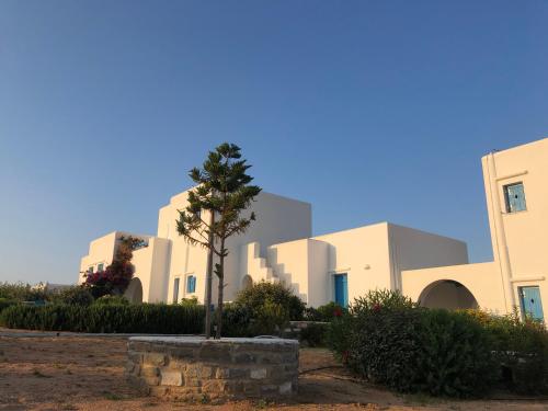 a palm tree in front of a building at Eliza & Mike's Villas Paros in Kampos Paros