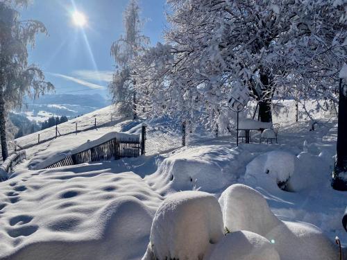 a snow covered yard with a fence and trees at Birkenhof, Haus Märli in Herisau