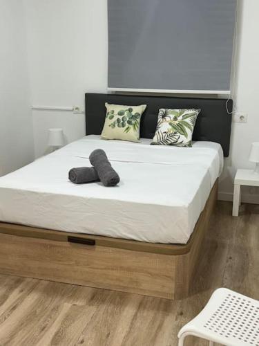 Estudio San Rafael