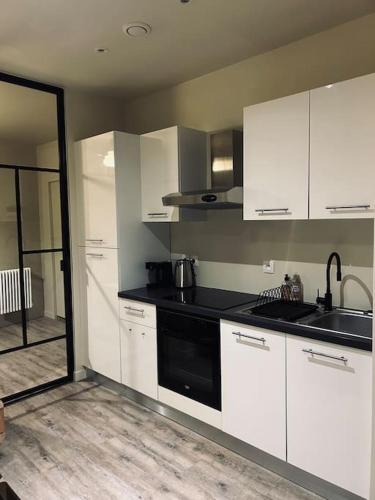 une cuisine avec des armoires blanches et un appareil noir dans l'établissement Appartement art deco Reims, à Reims