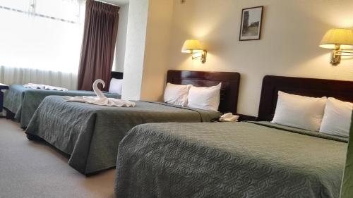 Gallery image of Nuevo Maragato Hotel & Hostel in San José