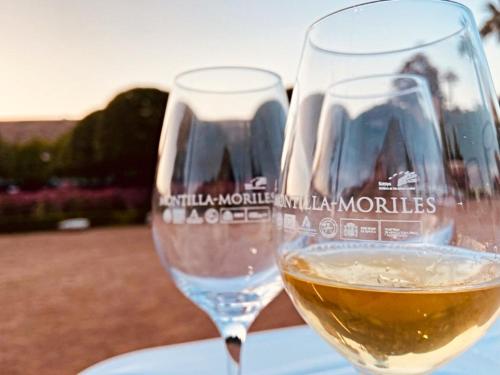 two glasses of white wine sitting on a table at InHome Central Studio in Montilla