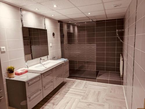 a bathroom with a shower and a sink and a mirror at La Mariefacture comme un charme in Haute-Vigneulles
