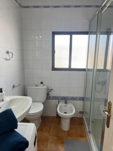 a bathroom with a toilet and a sink and a shower at Coliving Villa El Gago in Las Palmas de Gran Canaria