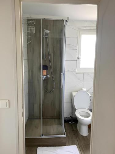 une salle de bain avec douche et toilettes dans l'établissement T2 à Ambilly à 200m du tram 17, à Ambilly