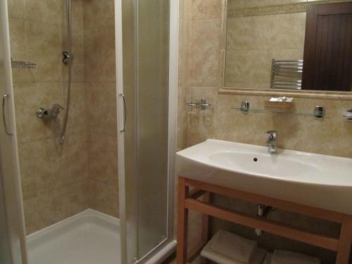 a bathroom with a sink and a shower at Penzión Eko Park Piešťany in Piešťany
