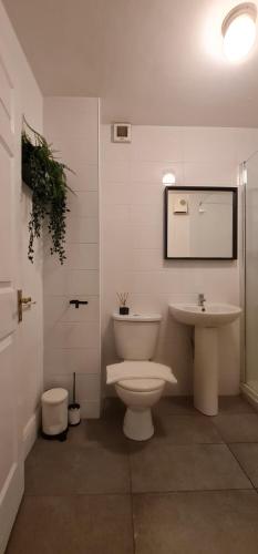 a bathroom with a toilet and a sink at Temple Bar apartment by DublinExchangeSuites in Dublin