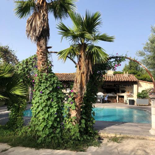 un palmier est recouvert de lierre à côté d'une piscine dans l'établissement Studio neuf a la campagne a 10 minutes des plages de mediterranée, à La Bouilladisse