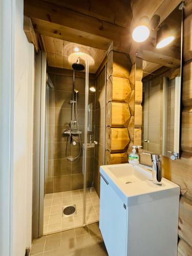 a bathroom with a shower and a white sink at Björnrike Fjällstuga in Vemdalen