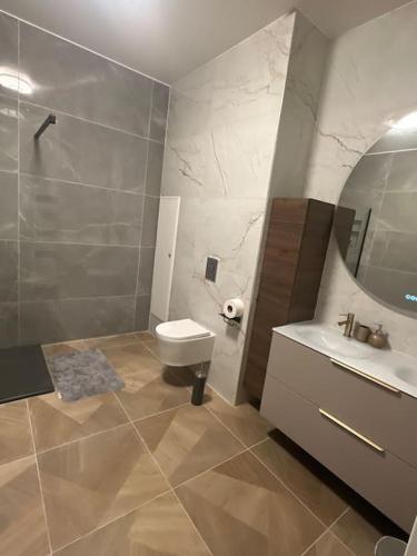 une salle de bain avec un lavabo, des toilettes et un miroir dans l'établissement Appartement 4 chambres, à Cholet