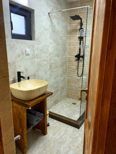 a bathroom with a sink and a shower at Micesti Chalet in Miceşti