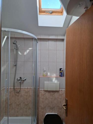 Casa Milesic