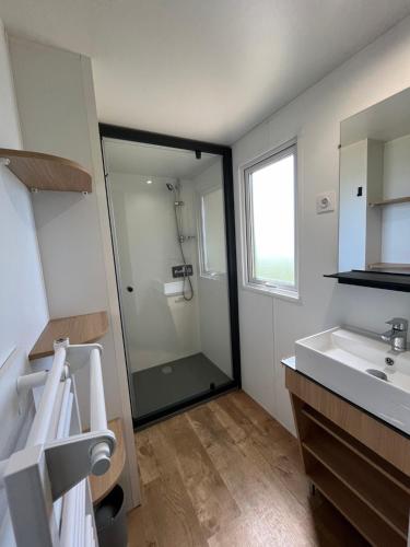 a bathroom with a shower and a sink at Camping de la Bageasse in Brioude