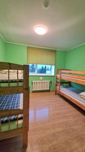 two bunk beds in a room with green walls at Vinni Sport & Spa hostel in Vinni