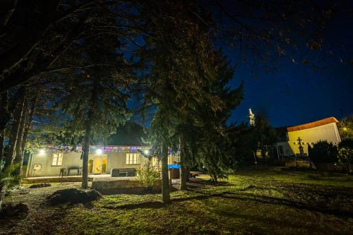 a house lit up at night with lights at Ipoly-Velo Vendégház in Balassagyarmat