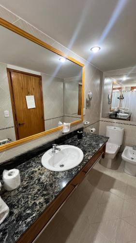 a bathroom with a sink and a mirror and a toilet at Hotel y Cabañas Casa de Piedra in Trevelin