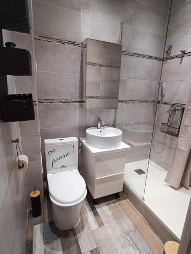 une salle de bain avec toilettes, lavabo et douche dans l'établissement Plage, Piscine Dans un style industriel, au Barcarès