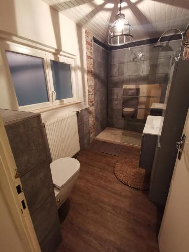 une salle de bain avec une douche avec des toilettes et un lavabo dans l'établissement Chambre individuelle 2, à Ancerville