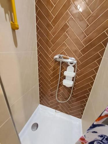 La salle de bains est pourvue d'une douche, de toilettes et de serviettes. dans l'établissement La cigogne d'Alsace 2, à Sélestat