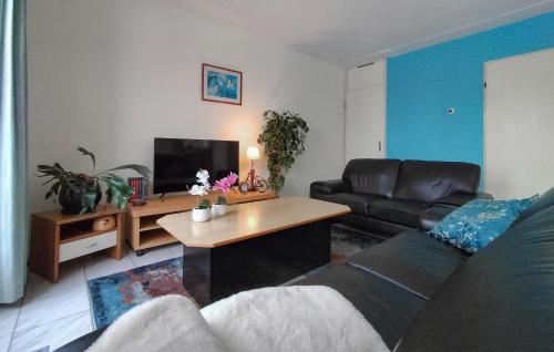 Μια τηλεόραση ή/και κέντρο ψυχαγωγίας στο Cozy Home In Vlagtwedde With Wifi
